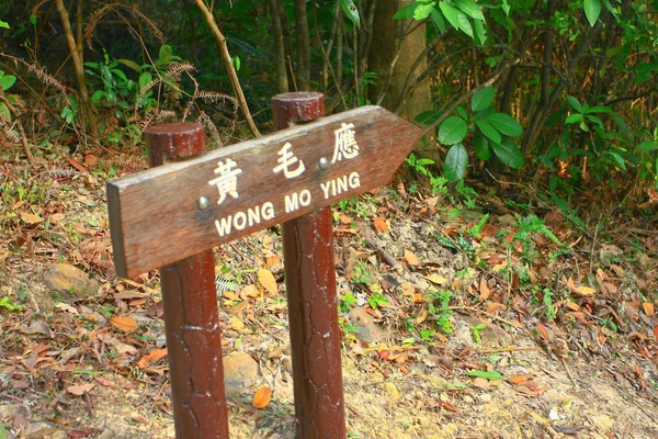 25 dec 2008 the index board at nature of hk Country Park — 스톡 사진