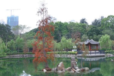 Kuzey Bölgesi Parkı, 27 Aralık 2008, Hong Kong.
