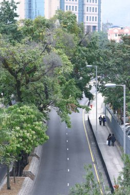 27 Aralık 2008 Hong Kong 'daki Kuzey Bölgesi 