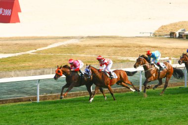 14 Aralık 2008 Cathay Pasifik Hong Kong Uluslararası At Yarışları.