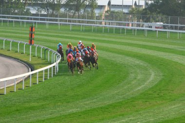 14 Aralık 2008 Cathay Pasifik Hong Kong Uluslararası At Yarışları.