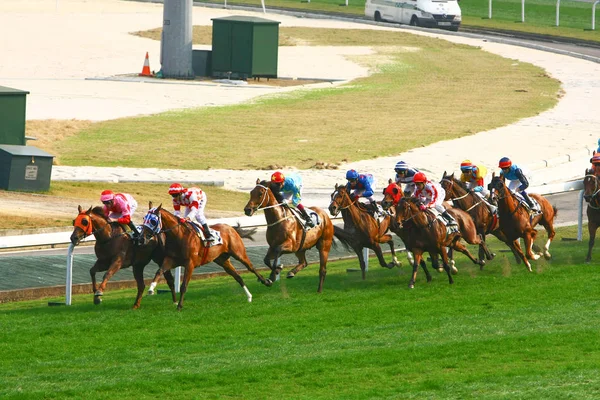 14 Aralık 2008 Cathay Pasifik Hong Kong Uluslararası At Yarışları. — Stok fotoğraf