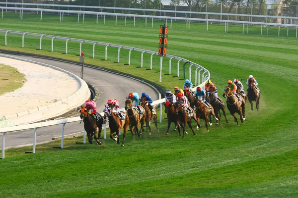 14 Prosinec 2008 Cathay Pacific Hong Kong International Horse Races. — Stock fotografie