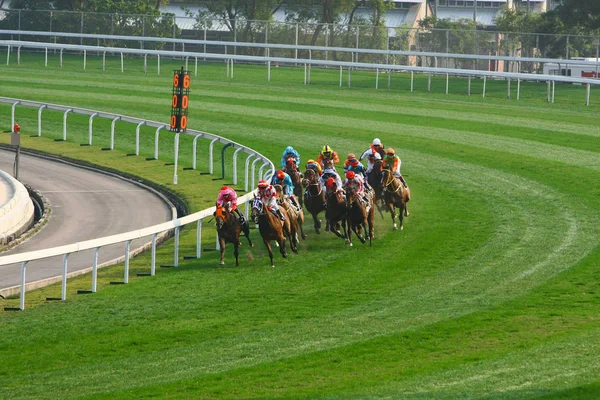 14 Prosinec 2008 Cathay Pacific Hong Kong International Horse Races. — Stock fotografie