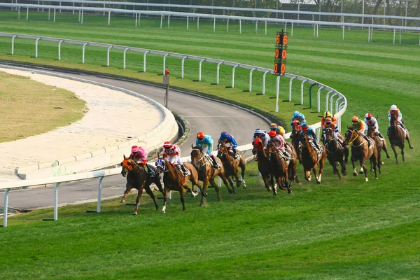 14 Dec 2008  Cathay Pacific Hong Kong International Horse Races. Stock Picture