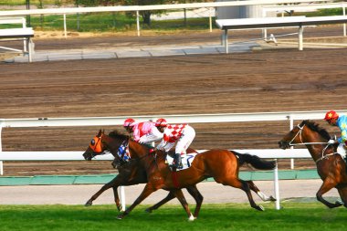 14 Aralık 2008 Cathay Pasifik Hong Kong Uluslararası At Yarışları.