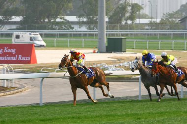 14 Aralık 2008 Cathay Pasifik Hong Kong Uluslararası At Yarışları.