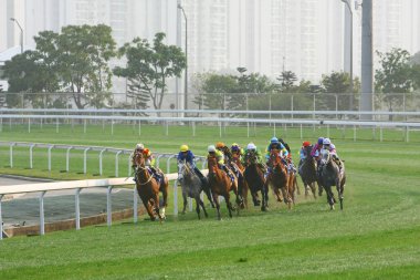 14 Aralık 2008 Cathay Pasifik Hong Kong Uluslararası At Yarışları.
