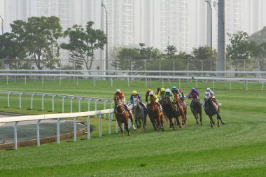 14 Aralık 2008 Cathay Pasifik Hong Kong Uluslararası At Yarışları.