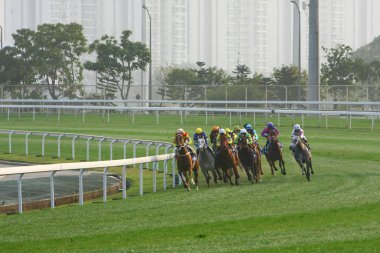 14 Aralık 2008 Cathay Pasifik Hong Kong Uluslararası At Yarışları.