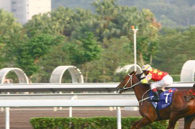 14 Aralık 2008 Cathay Pasifik Hong Kong Uluslararası At Yarışları.