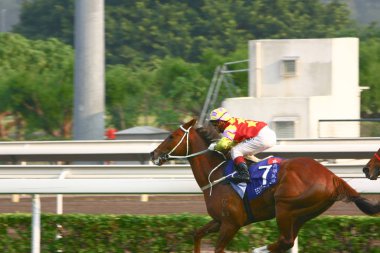 14 Aralık 2008 Cathay Pasifik Hong Kong Uluslararası At Yarışları.