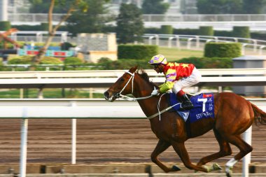 14 Aralık 2008 Cathay Pasifik Hong Kong Uluslararası At Yarışları.