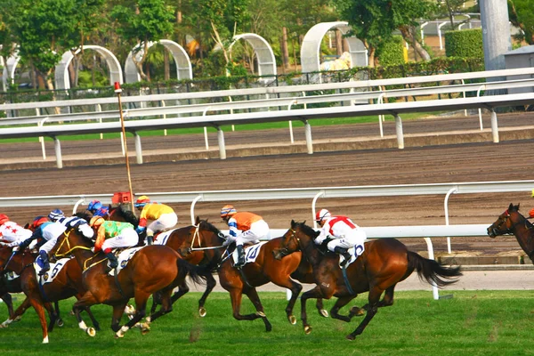 14 Dec 2008  Cathay Pacific Hong Kong International Horse Races. — Stock Photo, Image