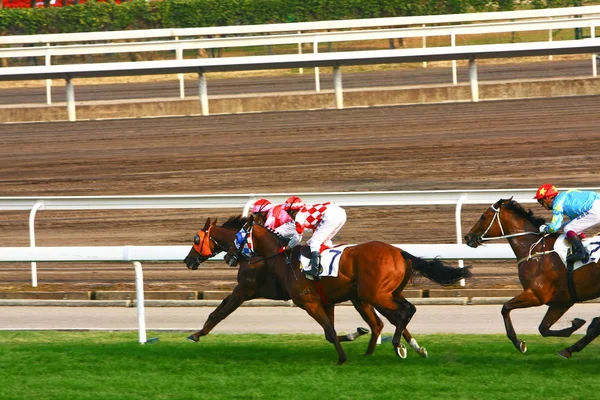 14 Dez 2008 Cathay Pacific Hong Kong International Horse Races . — Fotografia de Stock