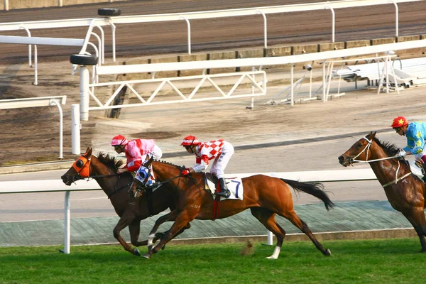 14 Dec 2008 Cathay Pacific Hong Kong International Horse Races. — стокове фото