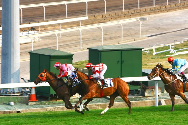 14 Dez 2008 Cathay Pacific Hong Kong International Horse Races . — Fotografia de Stock