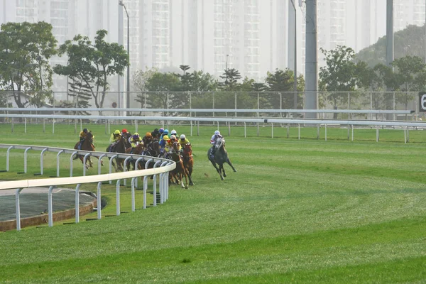 14 Dez 2008 Cathay Pacific Hong Kong International Horse Races . — Fotografia de Stock