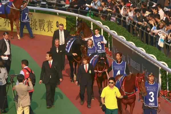 14 Дек 2008 Cathay Pacific Hong Kong International Horse Races . — стоковое фото