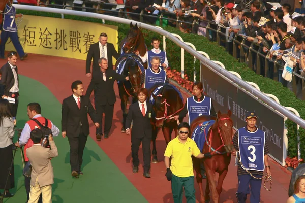 14 Дек 2008 Cathay Pacific Hong Kong International Horse Races . — стоковое фото