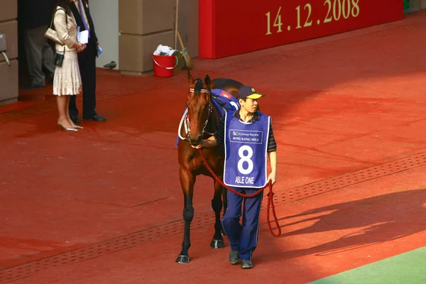 14 Dez 2008 Cathay Pacific Hong Kong International Horse Races . — Fotografia de Stock