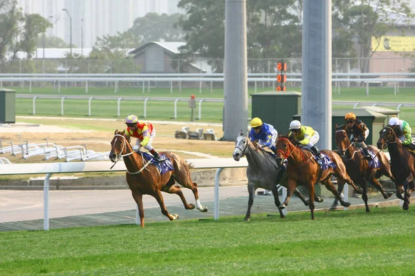 14 Dez 2008 Cathay Pacific Hong Kong International Horse Races . — Fotografia de Stock