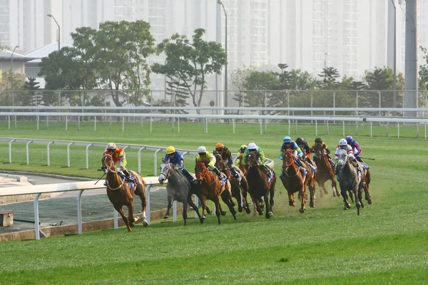 14 Dec 2008 Cathay Pacific Hong Kong Międzynarodowe Wyścigi Konne. — Zdjęcie stockowe