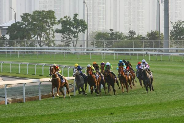 14 Aralık 2008 Cathay Pasifik Hong Kong Uluslararası At Yarışları. — Stok fotoğraf