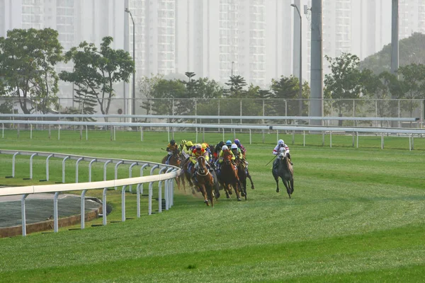 14 dec 2008 cathay pacific hong kong internationale Pferderennen. — Stockfoto