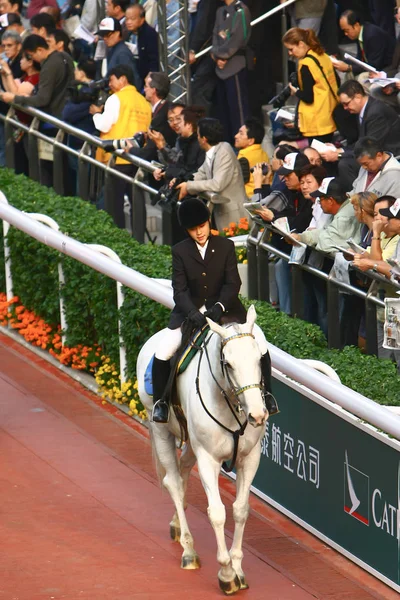 14 Dez 2008 Cathay Pacific Hong Kong International Horse Races . — Fotografia de Stock