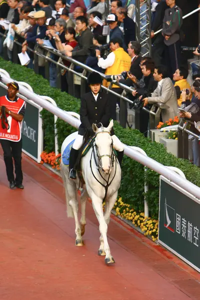 14 Дек 2008 Cathay Pacific Hong Kong International Horse Races . — стоковое фото