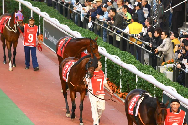 14 Dez 2008 Cathay Pacific Hong Kong International Horse Races . — Fotografia de Stock