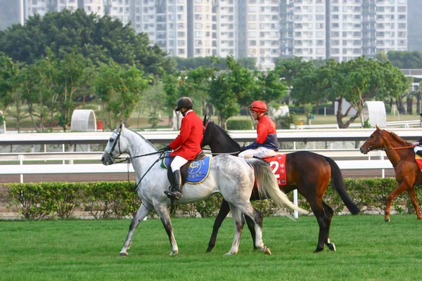 14 dec 2008 cathay pacific hong kong internationale Pferderennen. — Stockfoto