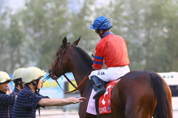 2008年12月14日キャセイパシフィック｜香港国際競馬. — ストック写真