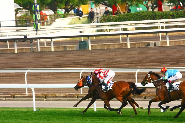 14 Dec 2008  Cathay Pacific Hong Kong International Horse Races. Stock Photo