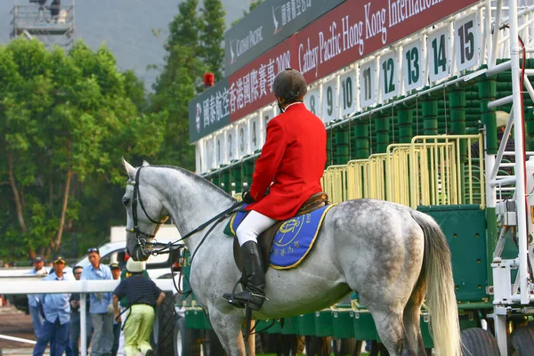 14 Дек 2008 Cathay Pacific Hong Kong International Horse Races . — стоковое фото