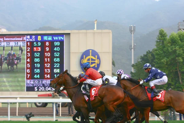 14 Дек 2008 Cathay Pacific Hong Kong International Horse Races . — стоковое фото