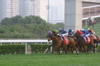 14 Aralık 2008 Cathay Pasifik Hong Kong Uluslararası At Yarışları.