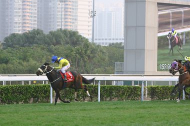 14 Aralık 2008 Cathay Pasifik Hong Kong Uluslararası At Yarışları.