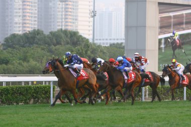 14 Aralık 2008 Cathay Pasifik Hong Kong Uluslararası At Yarışları.