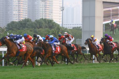 14 Aralık 2008 Cathay Pasifik Hong Kong Uluslararası At Yarışları.
