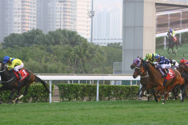 14 dic 2008 Cathay Pacific Hong Kong International Carreras de caballos . — Foto de Stock