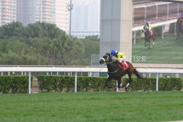 14 Дек 2008 Cathay Pacific Hong Kong International Horse Races . — стоковое фото