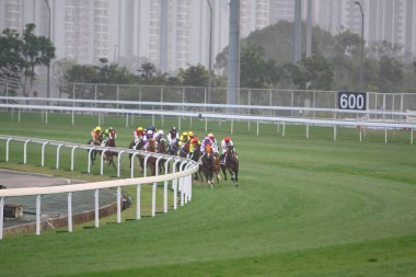 14 Aralık 2008 Cathay Pasifik Hong Kong Uluslararası At Yarışları.