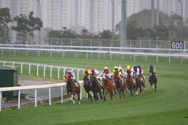 14 Aralık 2008 Cathay Pasifik Hong Kong Uluslararası At Yarışları.