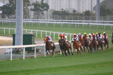 14 Aralık 2008 Cathay Pasifik Hong Kong Uluslararası At Yarışları.