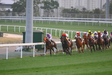 14 Aralık 2008 Cathay Pasifik Hong Kong Uluslararası At Yarışları.