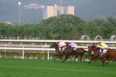 14 Aralık 2008 Cathay Pasifik Hong Kong Uluslararası At Yarışları.