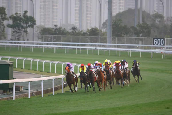 14 Aralık 2008 Cathay Pasifik Hong Kong Uluslararası At Yarışları. — Stok fotoğraf