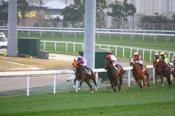 14 Aralık 2008 Cathay Pasifik Hong Kong Uluslararası At Yarışları. — Stok fotoğraf